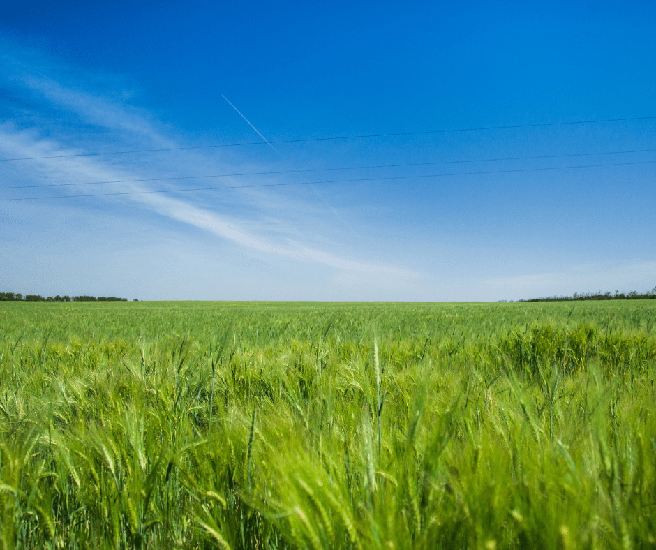 how do you sell land without a realtor