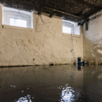 A flooded basement with several inches of standing water highlights severe water damage.