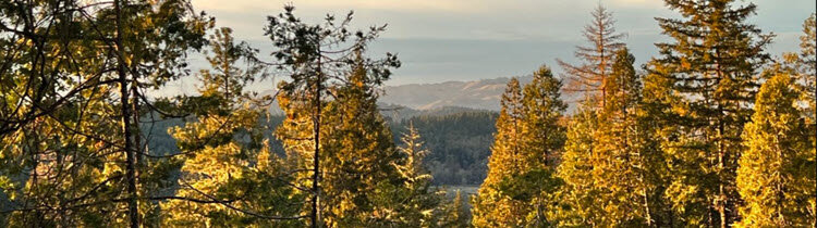 Douglas County Oregon Real Estate Market Update November 2022