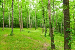 Land For Sale In Bowling Green, KY