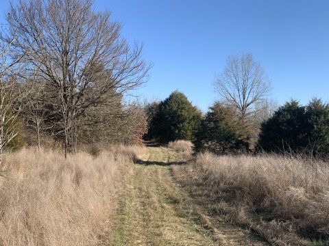 Hunting land for sale in western ky