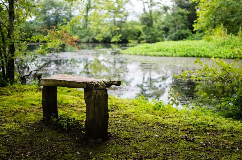 close-up of a wooden bench with a lake containing algae and forest in the background . We Buy Houses in Owens Cross Roads Alabama