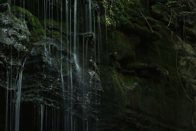 small waterfall with surrounding rocks containing algae at Lost Sink Falls. We Buy Houses in Owens Cross Roads Alabama