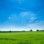 tall green grass with blue sky in the background. The Hidden Costs of Owning Vacant Land In Huntsville