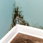 corner of house in Wichita Falls with mold