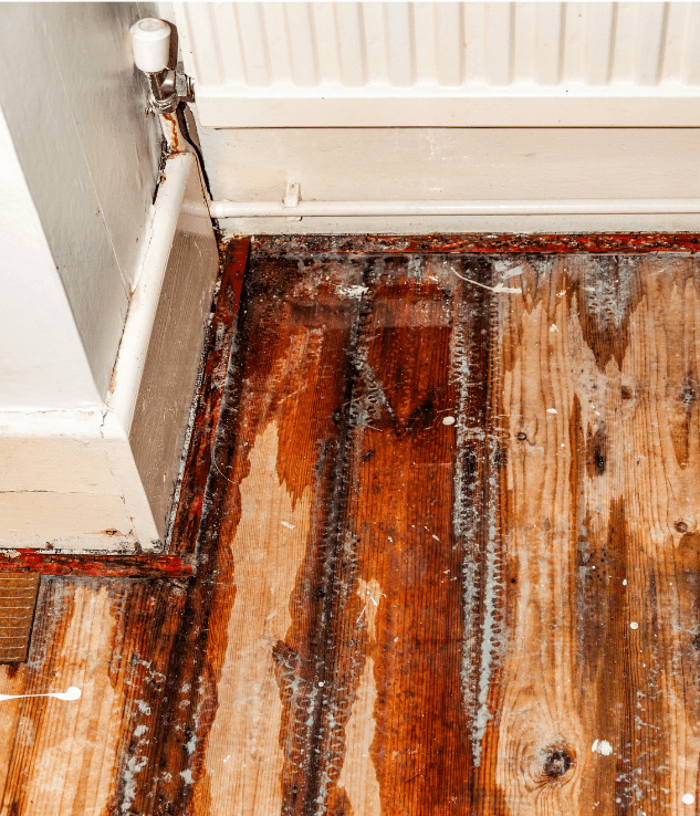 Flooring Water damage