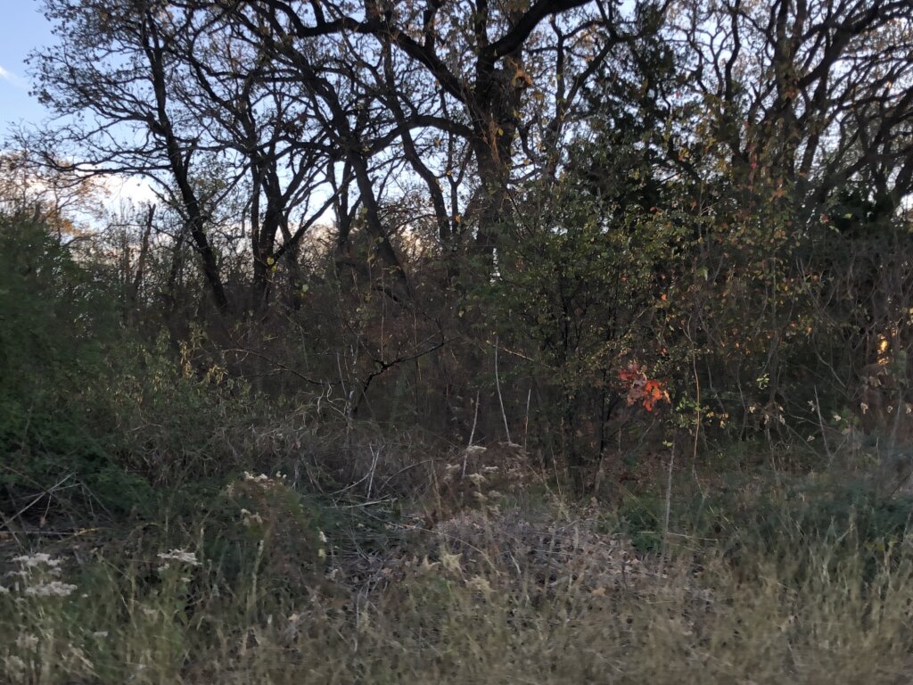 Sell Your Vacant Land