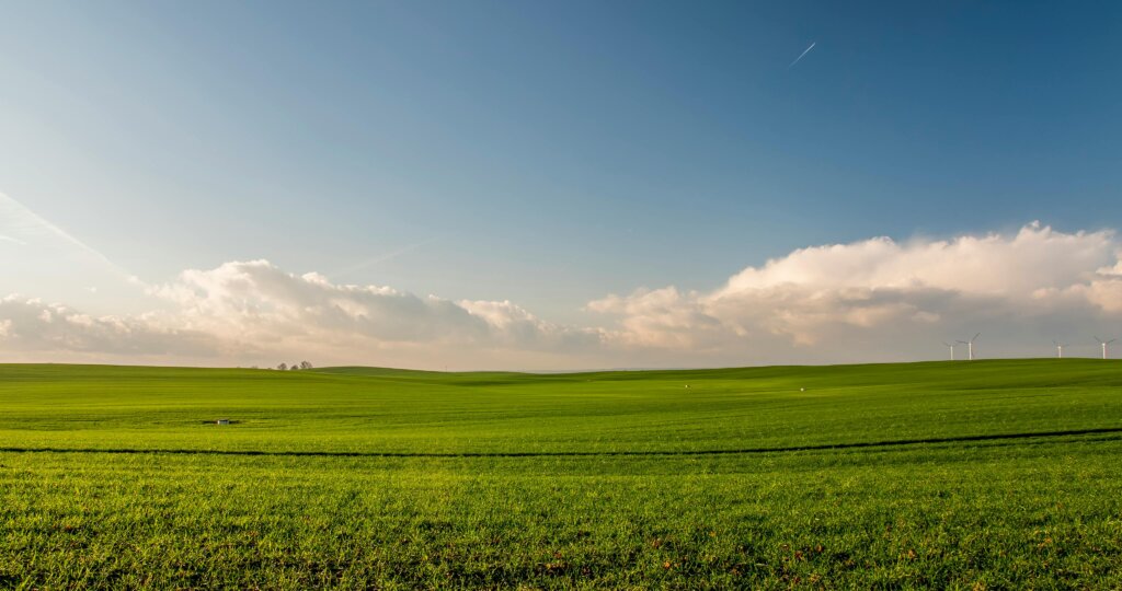 Closing in Real Estate: What Happens During Closing