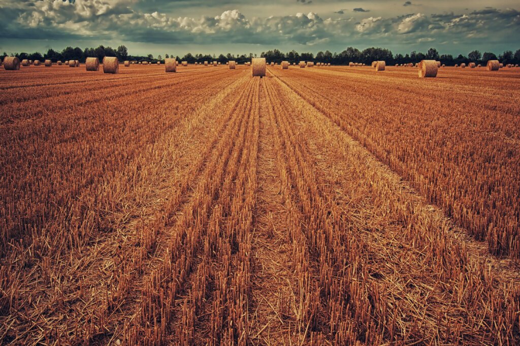 How to Sell Agricultural Land in Texas