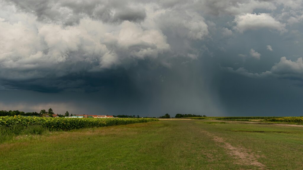What Landowners Need to Know About Easements