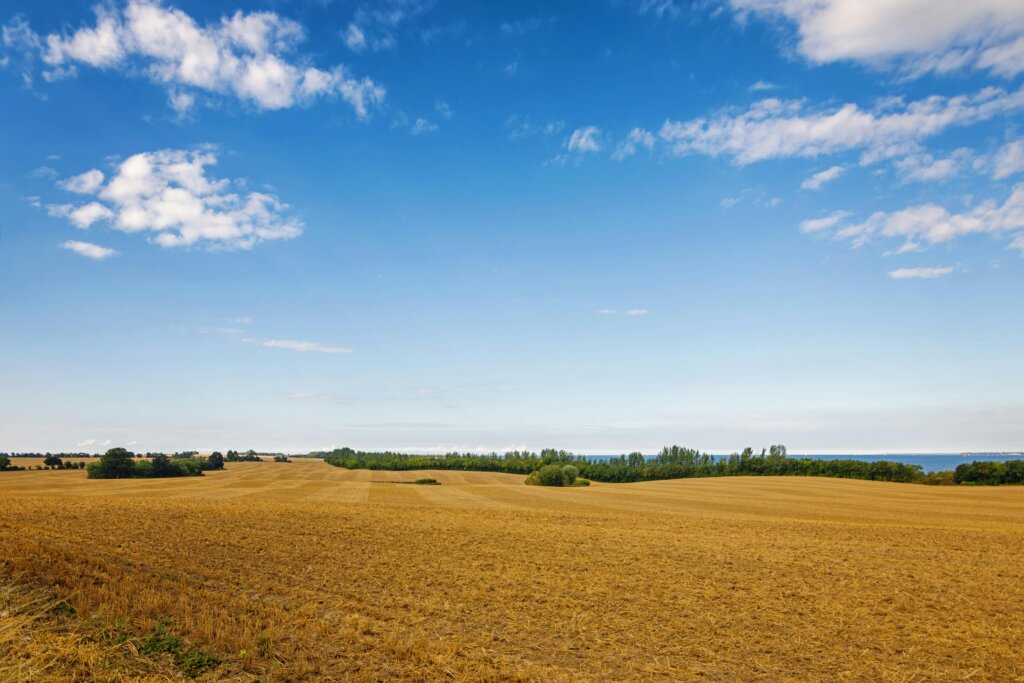 5 Reasons Why Marketing is Crucial to Sell Your Property
