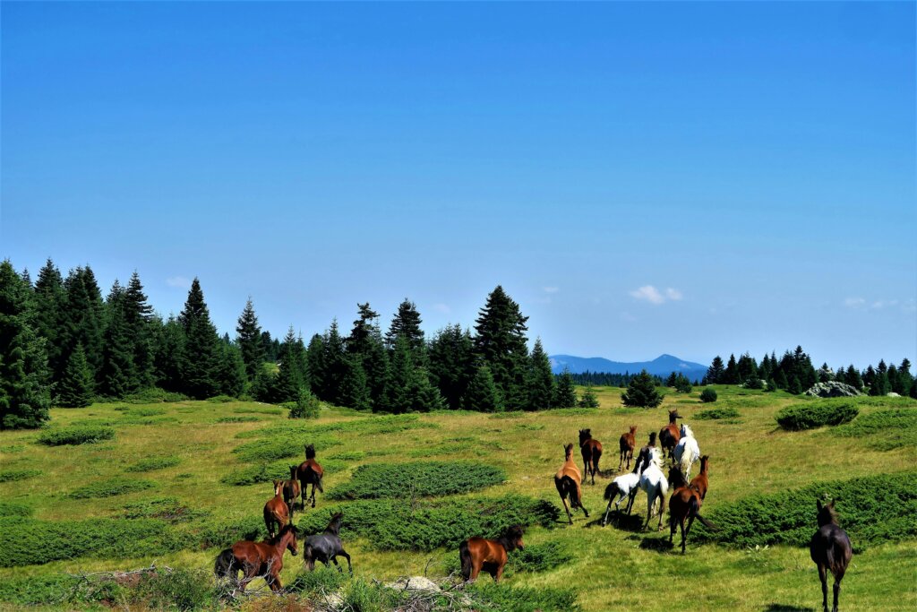 4 Hidden Costs of Selling Vacant Land