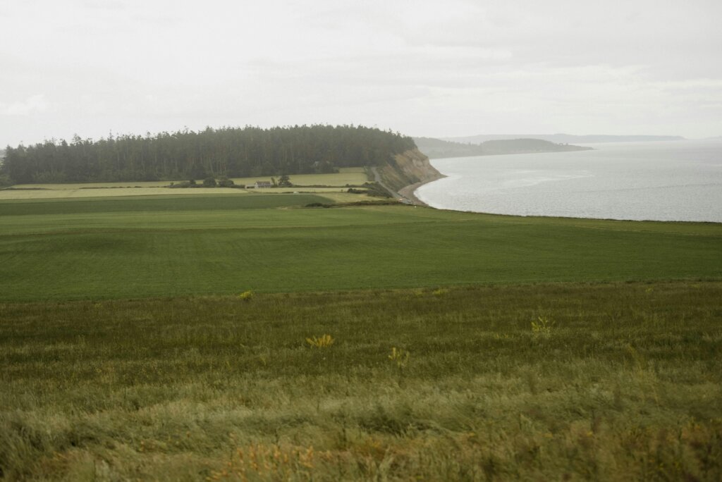 7 Important Questions to Ask When Selling Land
