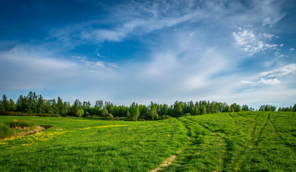 How to Avoid Land Selling Scams and Spot Red Flags