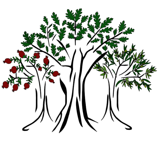 Collective Realty  logo