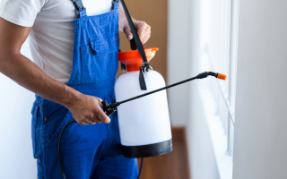 protect your storage facility from pests