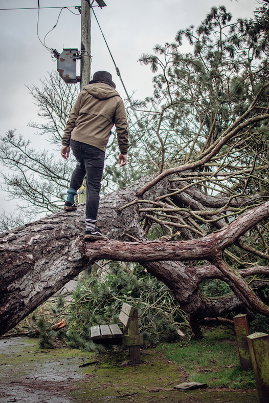 Tree clearing is a big task for land owners