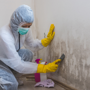 Can You Sell a Moldy House in Greenville, NC