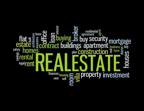 real estate agent