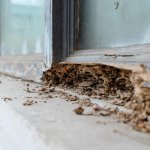 window frame on a house for sale with termite damage