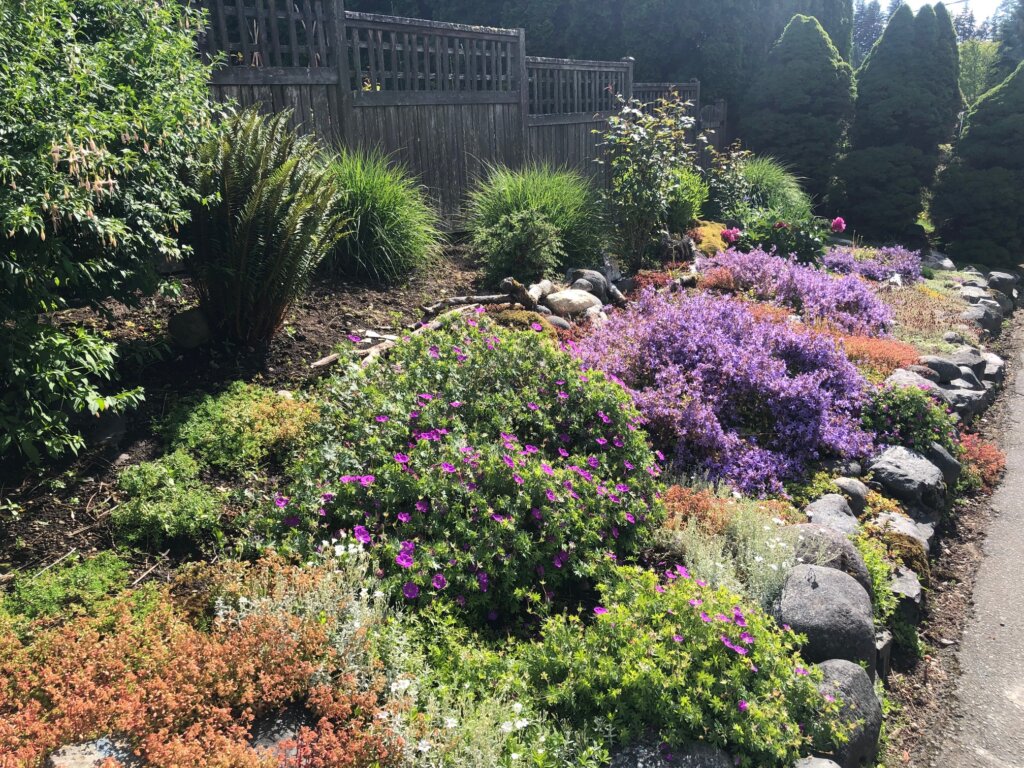 Shoreline WA - Landscaped Home
