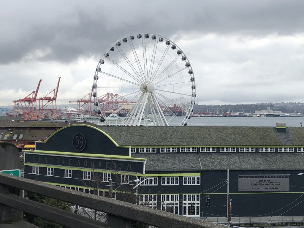 Lets Go Seattle