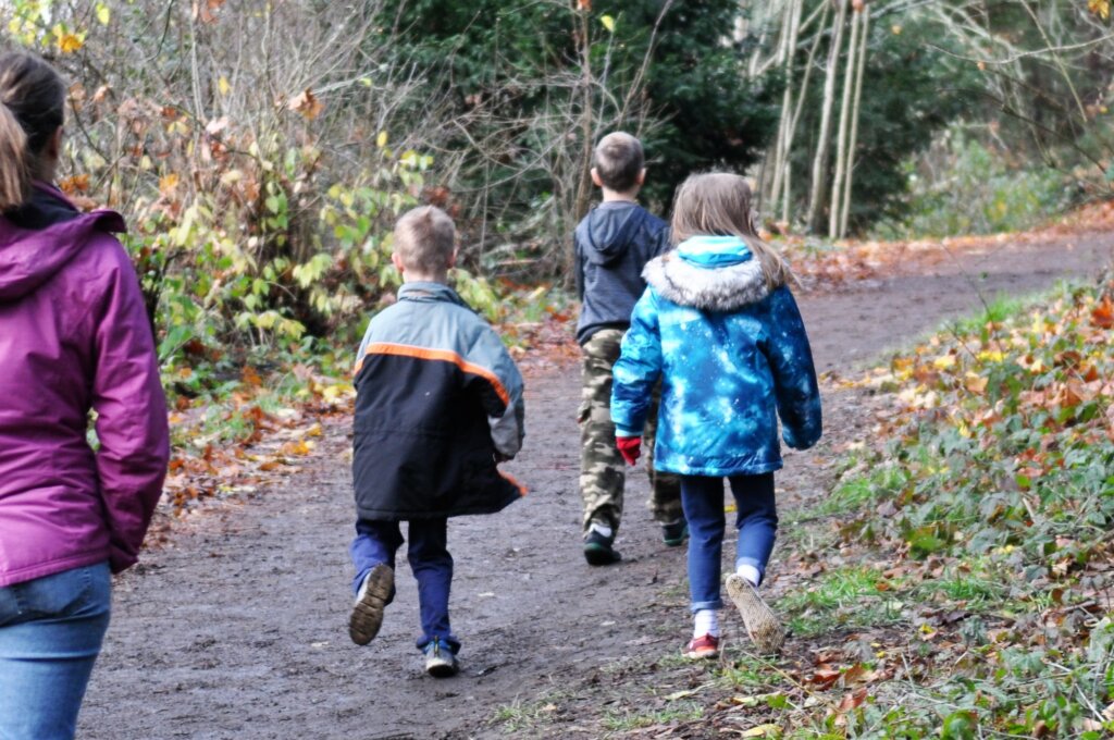 Winter Walks In Seattle, Washington