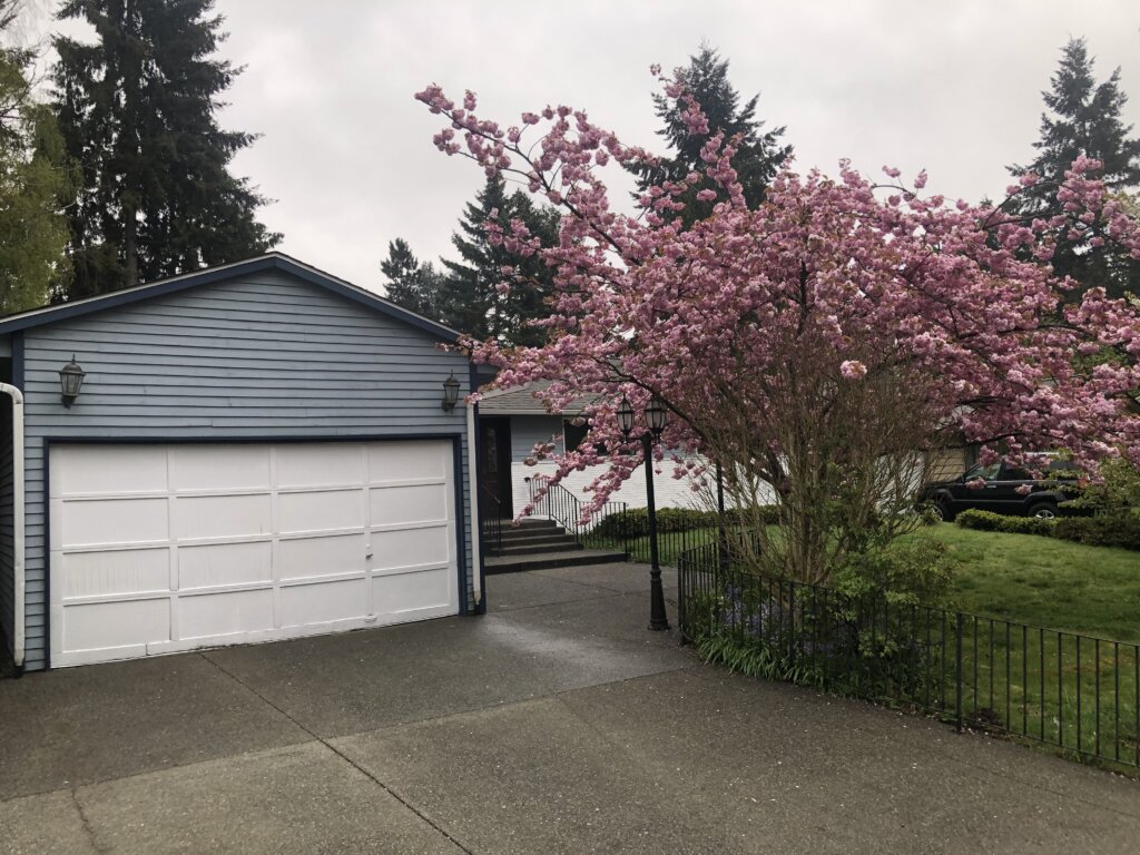 17802 10th Ave NE - Shoreline, WA 98155