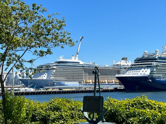 Cruise Ships Parked in Magnolia Neighborhood