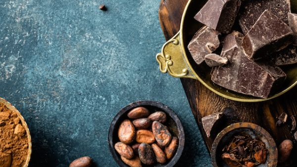 Northwest Chocolate Festival