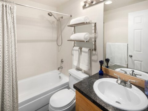 Updated Condo in Kenmore For Sale - Bathroom