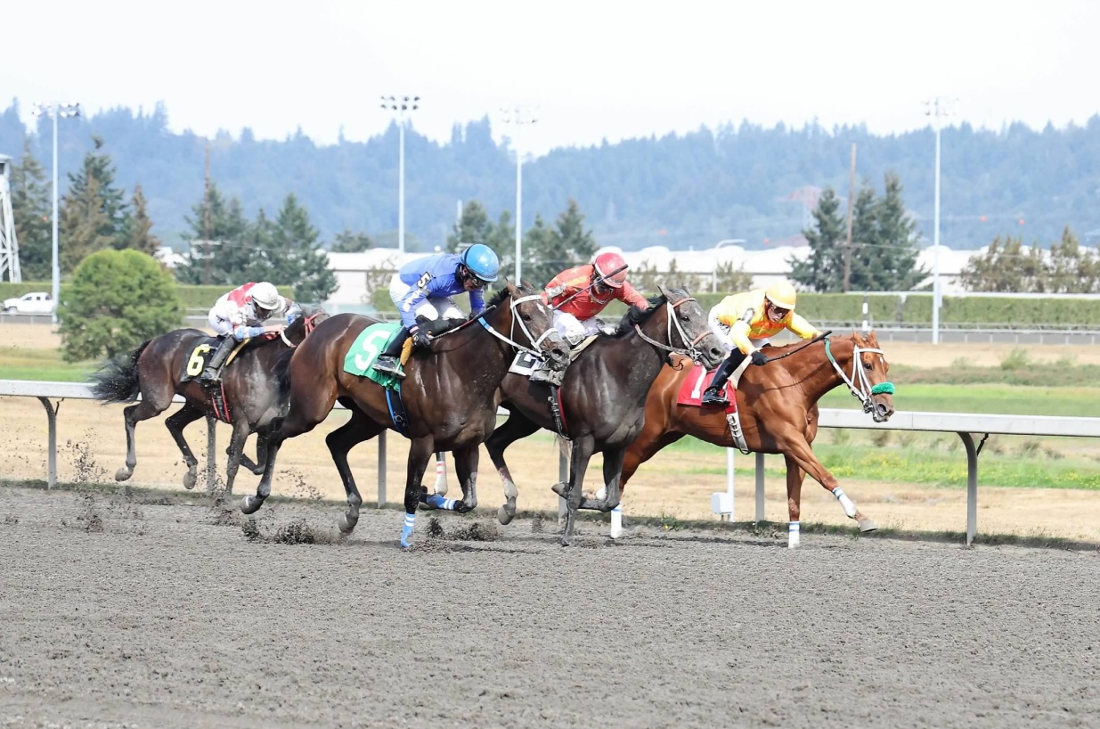 Horse racing at Emerald Downs in Auburn