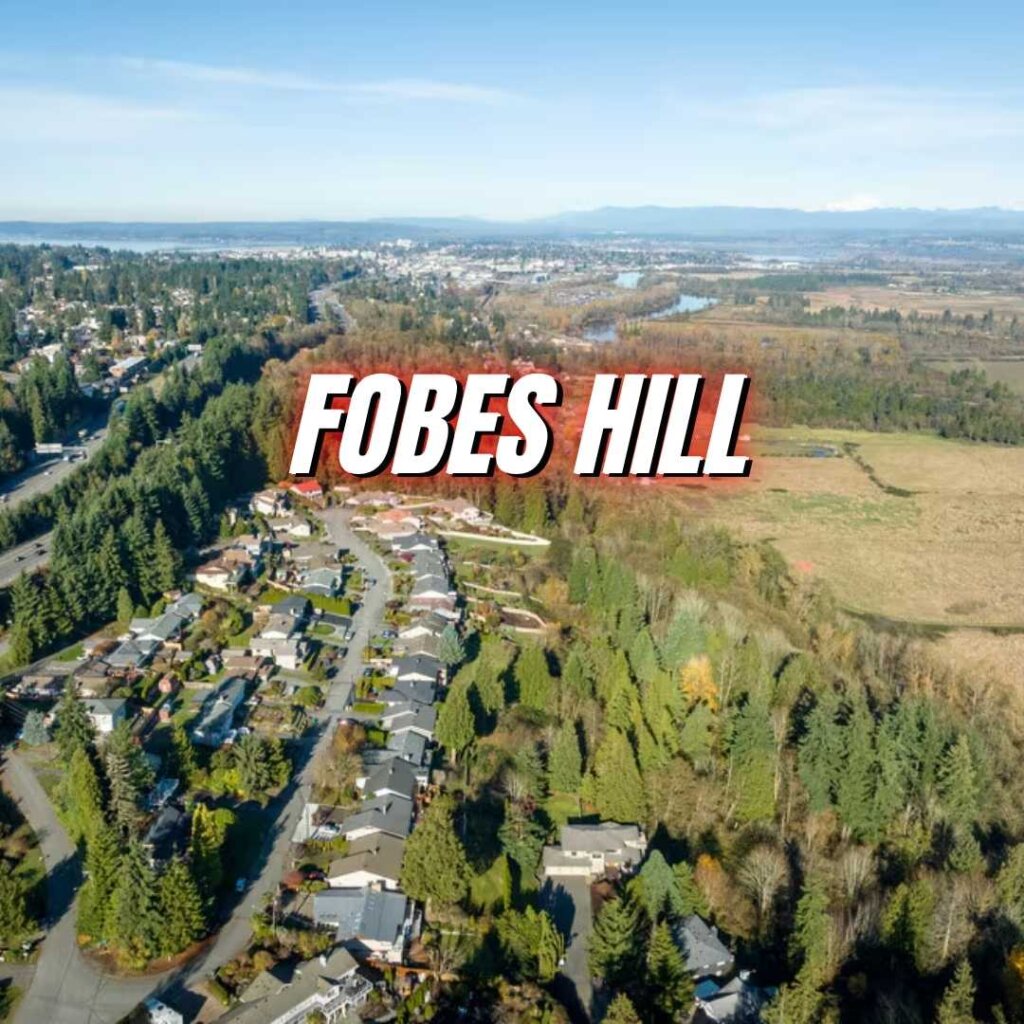 Fobes Hill Neighborhood in Seattle WA