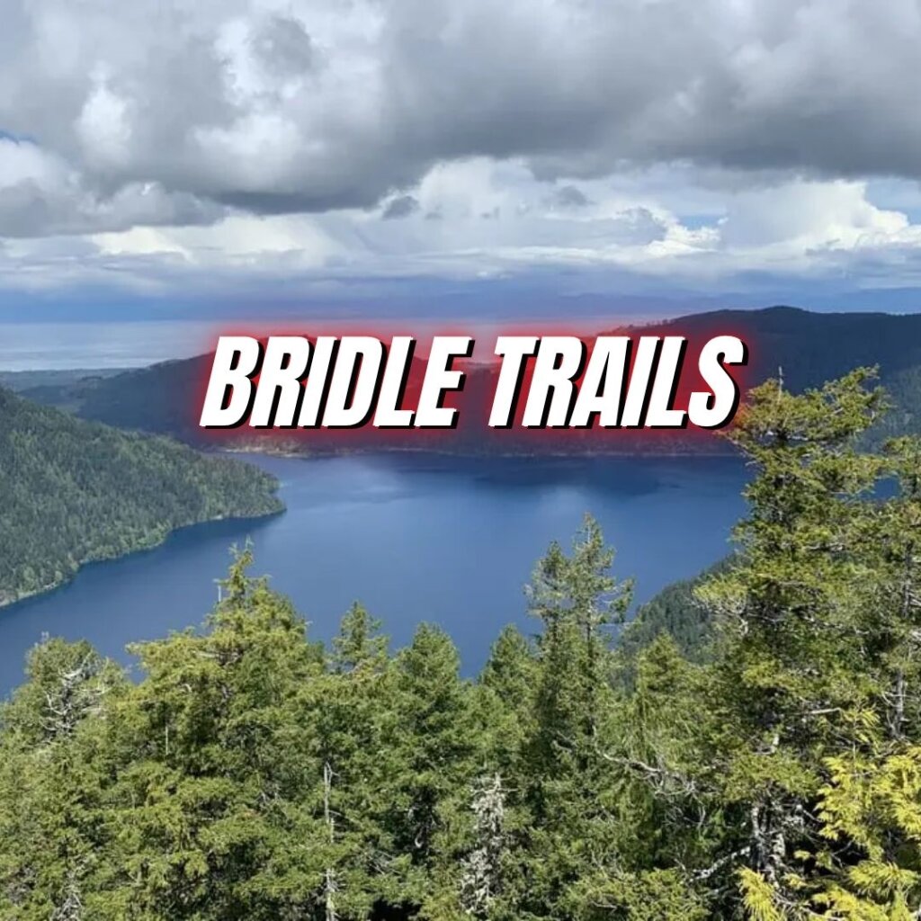 Bridle Trails Neighborhood in Seattle WA