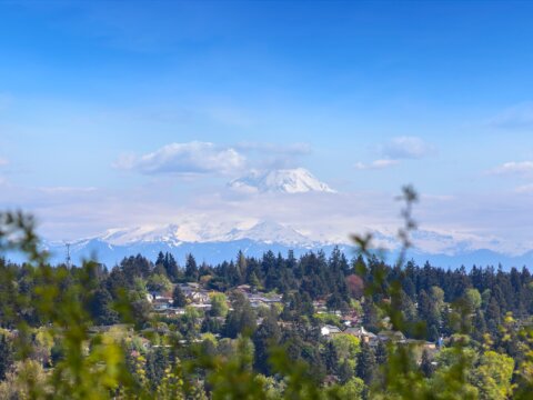 2 Bedroom Home in Normandy Park WA for Sale by Seattle Realtor Emily Cressey Yard View
