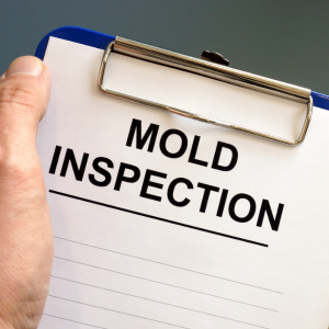 Sell House With Mold in Illinois