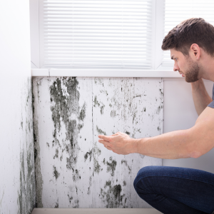Sell My House With Mold in Illinois