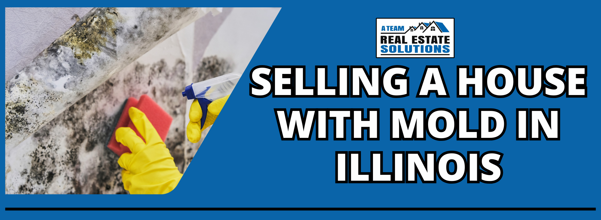 Sell Your House With Mold in Illinois