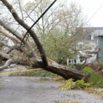 How to sell a storm-damaged house Illinois