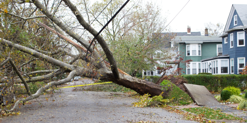 How to sell a storm-damaged house Chicago