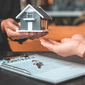 Steps to Sell a House With Termite Damage In Chicago