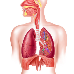 Selling house with asbestos Illinois