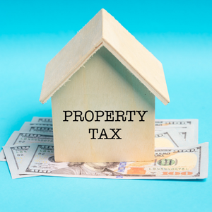 How long can you avoid paying your property taxes In Illinois