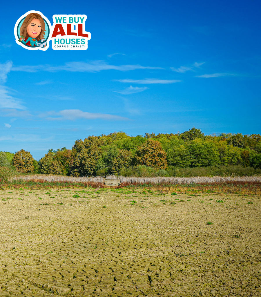 cash land purchasers Corpus Christi