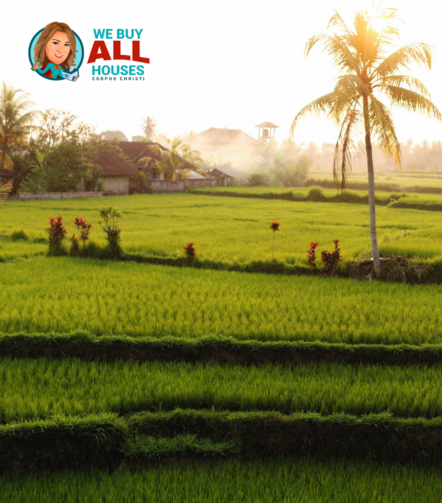 quick cash for land Corpus Christi
