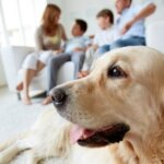 Home Sellers Who Have Pets