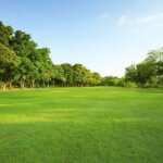 buy sell land in southeast texas cash-home-buyers-texas-strike-zone-investments-we-buy-houses-in-texas-sell-my-house