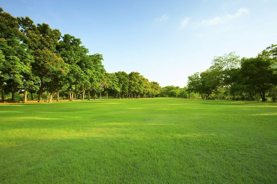 buy sell land in southeast texas