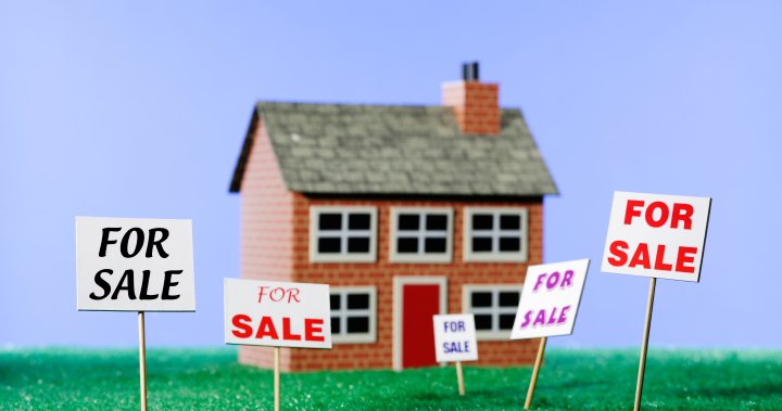 3 Things To Do if An MLS Listing Hasn't Worked For Your Southeast Texas Property
