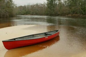 Sell Your House In Lumberton Texas